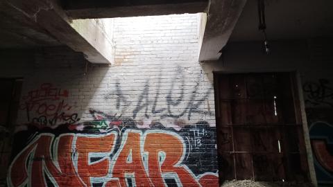 Photo from Linseed photos