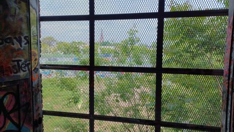 Linseed photos - 20220612_151312.jpg