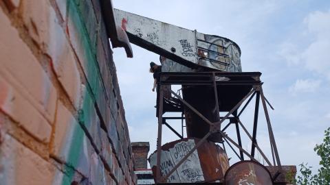 Linseed photos - 20220612_153727.jpg