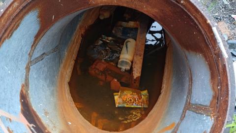 Photo from Linseed photos