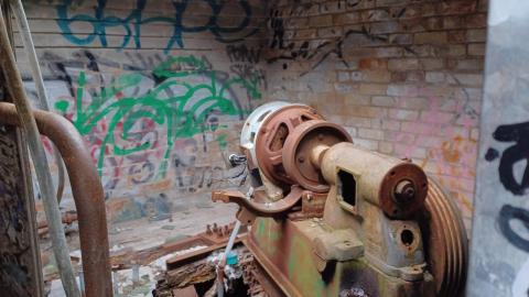 Linseed photos - 20220612_153733.jpg