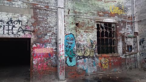 Linseed photos - 20220612_150636.jpg