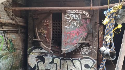 Linseed photos - 20220612_143448.jpg