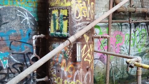 Linseed photos - 20220612_143452.jpg