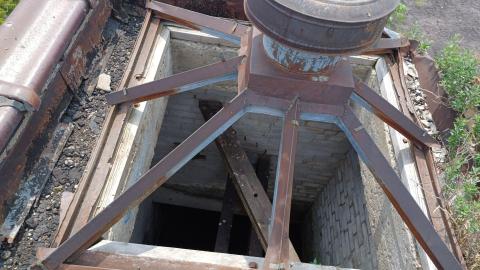 Photo from Linseed photos