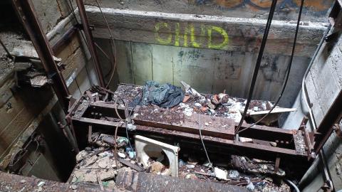 Photo from Linseed photos