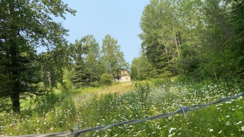 Heron Bay in July 2021 - 8FDAF5C3-2FBF-449F-B671-CB772BC39263.jpeg