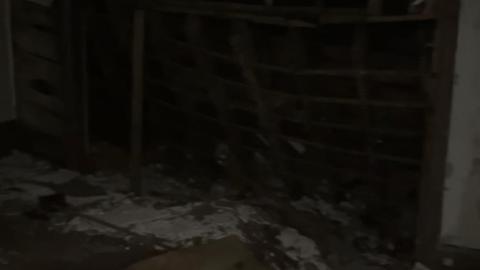 Guyitt House - Oct 2022 - 730E58CF-53CA-4D73-96F4-D882026A3320.jpeg