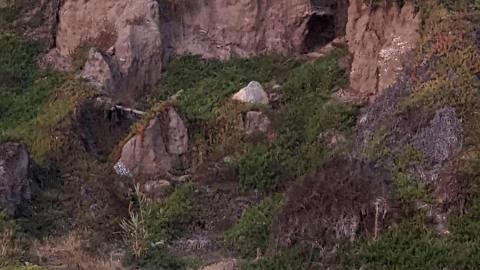 Hmmmm? - Snapchat-951476391.jpg