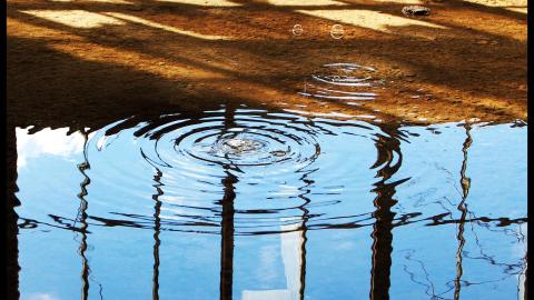 April 2013 - DSC_0267.jpg