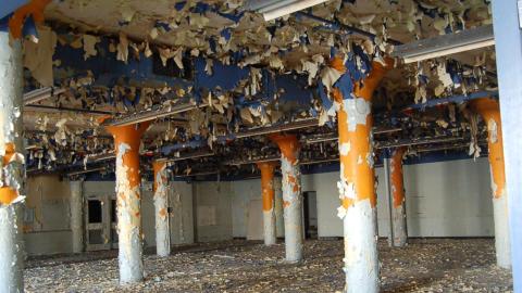 2012 Visit 2 - DSC_0048.JPG