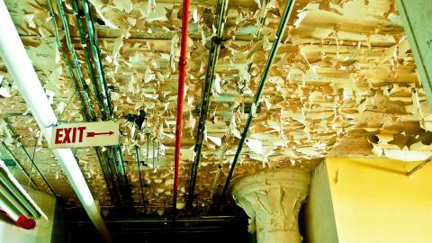 2012 Visit 1 - Biscuits34.jpg