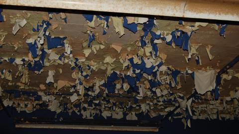 2012 Visit 2 - DSC_0060.JPG