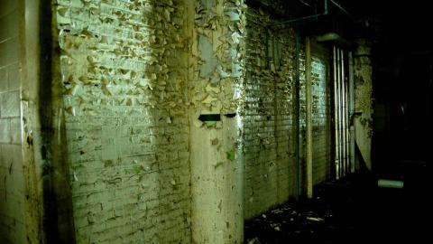 2012 Visit 1 - Biscuits36.jpg