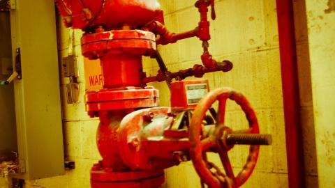 2012 Visit 1 - Biscuits40.jpg