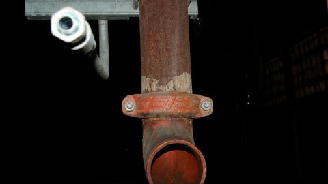 2012 Visit 1 - Biscuits42.jpg