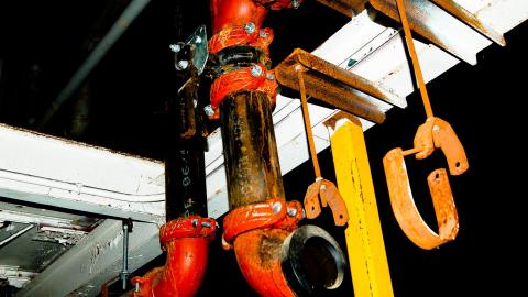 2012 Visit 1 - Biscuits43.jpg