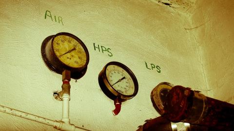 2012 Visit 1 - Biscuits44.jpg