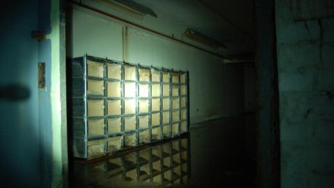 2012 Visit 1 - Biscuits52.jpg