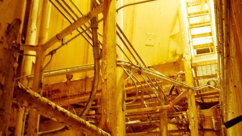 2012 Visit 1 - Biscuits59.jpg