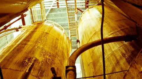 2012 Visit 1 - Biscuits61.jpg