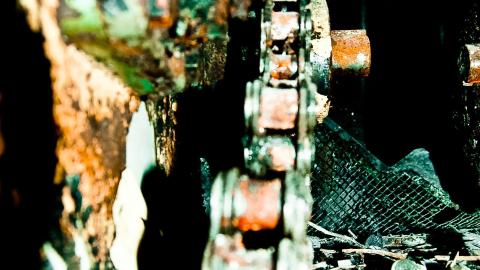 2012 Visit 1 - Biscuits63.jpg