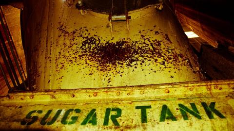 2012 Visit 1 - Biscuits65.jpg