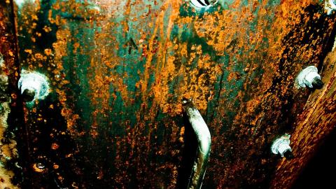 2012 Visit 1 - Biscuits67.jpg