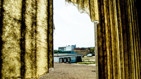 2012 Visit 1 - Biscuits74.jpg