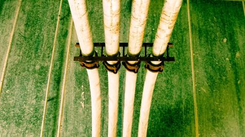 2012 Visit 1 - Biscuits76.jpg