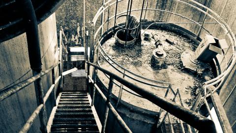 2012 Visit 1 - Biscuits80.jpg