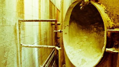 2012 Visit 1 - Biscuits82.jpg