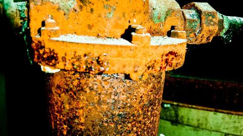 2012 Visit 1 - Biscuits83.jpg