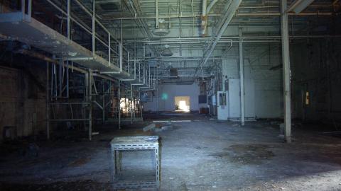 2012 Visit 1 - Biscuits85.jpg