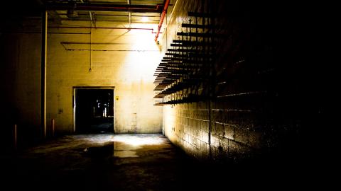 2012 Visit 1 - Biscuits89.jpg