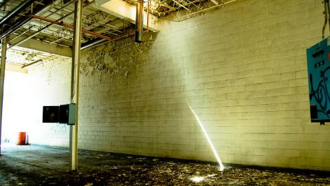 2012 Visit 1 - Biscuits91.jpg