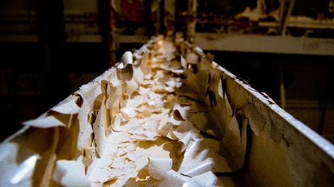 2012 Visit 1 - Biscuits93.jpg