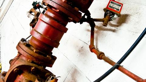 2012 Visit 1 - Biscuits96.jpg