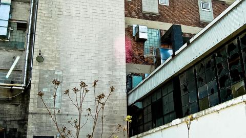 2012 Visit 1 - Biscuits98.jpg