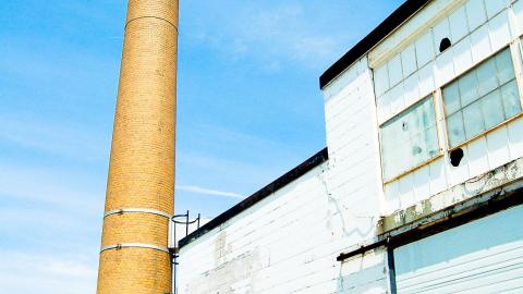 2012 Visit 1 - Biscuits99.jpg