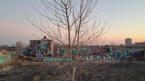 Certified GTA Classic - 20230212_175530.jpg