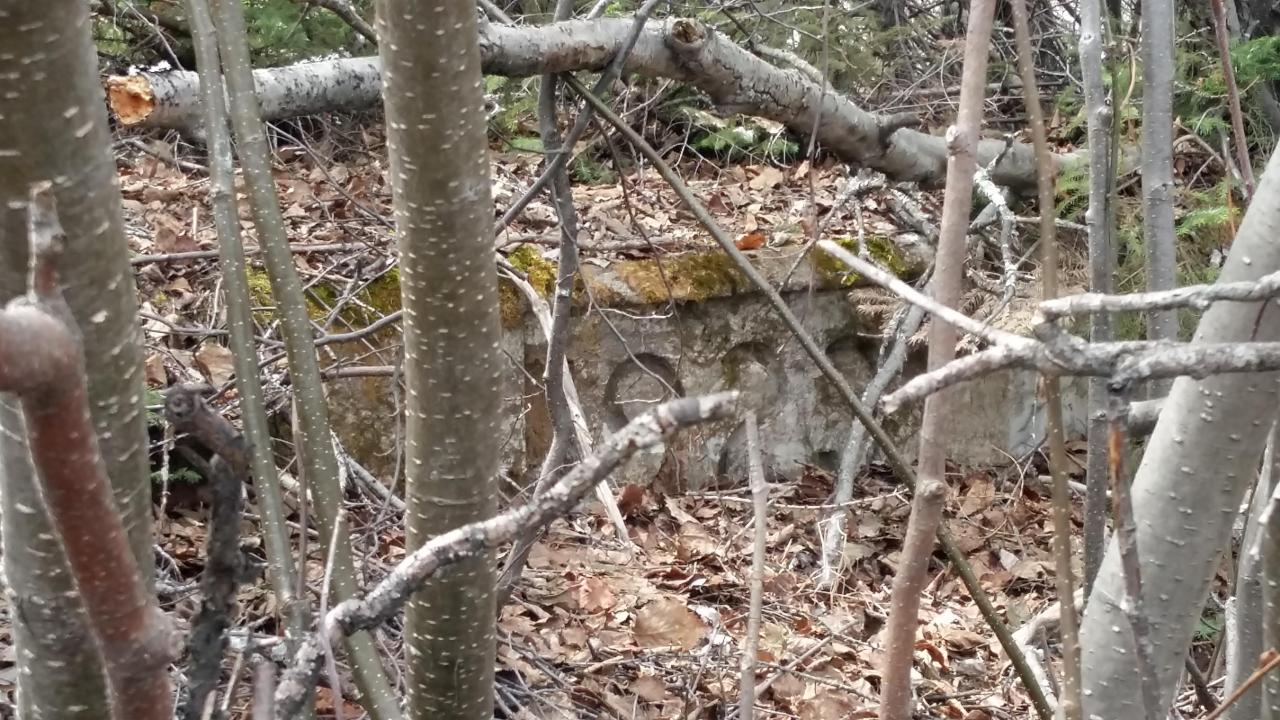 Nemegos Hunt Camp - Owners Bill & Jan Hilliard - 20200518_144254.jpg
