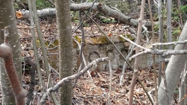 Nemegos (ghost town) - Sudbury, Unorganized, North Part, Ontario
