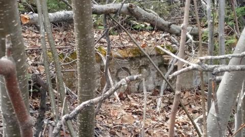 Nemegos (ghost town) - Sudbury, Unorganized, North Part, Ontario