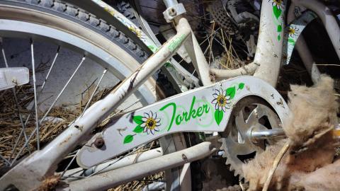 Bicycle Hoarder - 20230219_000200.jpg