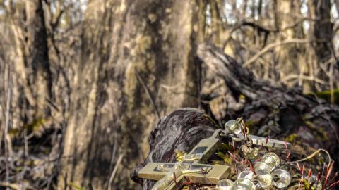 February 2023 - 015.jpg