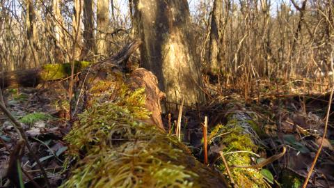 February 2023 - 001.jpg