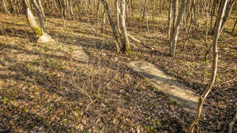 Morningstar Burial photo 2