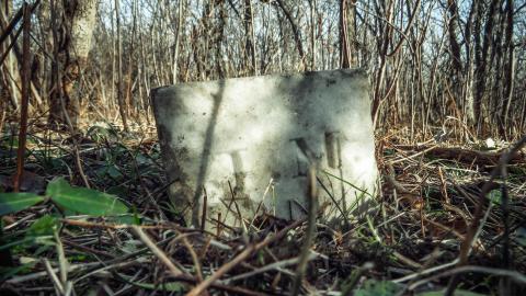 February 2023 - 004.jpg