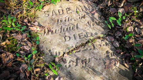 February 2023 - 006.jpg